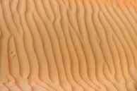 Tracks and ridges in the desert by Anita Loos thumbnail