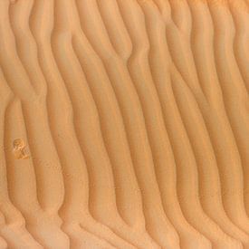 Spuren und Grate in der Wüste von Anita Loos