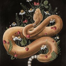 Snake and strawberries by Natalia Gorst