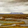 Terre d'eau du Nord sur Frans Blok - des photos, de l'art et des autres décorations murales