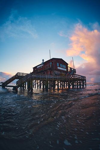 Maison sur pilotis dans la lumière du soir - Goéland argenté St. Peter-Ording sur Florian Kunde