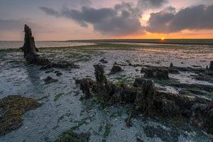 Wrack