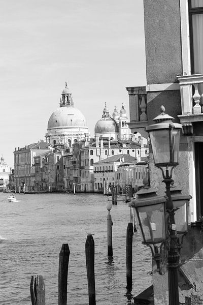 Venice by heidi borgart