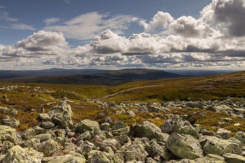 Berglandschap in het Städjan-Nipfjället natuurreservaat in Dalarna, Zweden