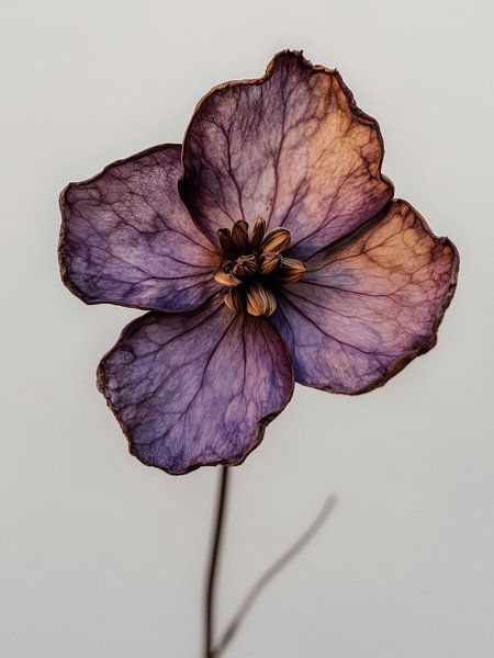 Pastel Nature No 24 von Treechild