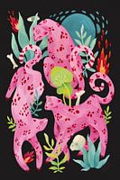 Roze panter