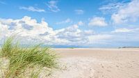 Strand, Saumgras und bewölkter Himmel (Borkum)