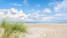 Beach, hem grass and cloudy sky (Borkum) by R Smallenbroek
