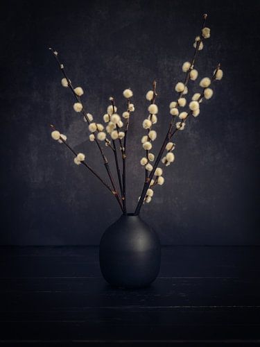 Cotton balls in a black vase by Joey Hohage