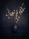 Cotton balls in a black vase by Joey Hohage thumbnail