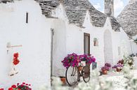 Trulli-Häuser mit Blumenfahrrad von DsDuppenPhotography Miniaturansicht