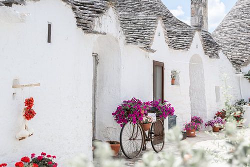 Trulli huizen met bloemenfiets