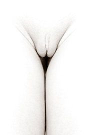 erotic female nude in high key style