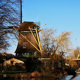 Mills in Dutch landscape. by Sailographic Paula