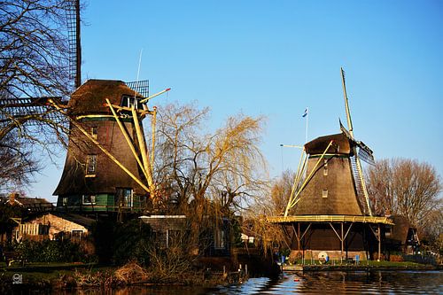 Mills in Dutch landscape.