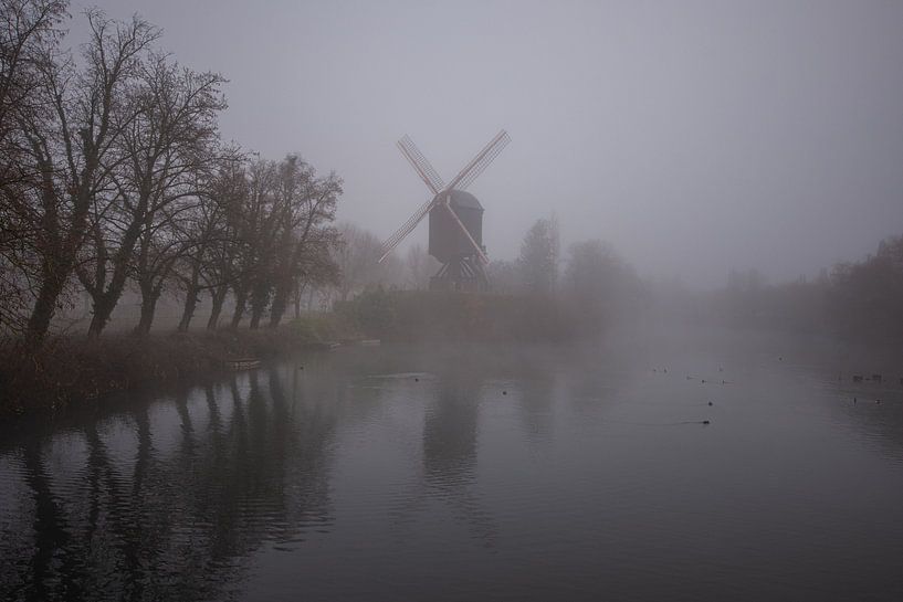 Windmühle im Morgennebel von Bart Liesenborgs