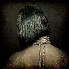 The Shades of Grey van Marja van den Hurk