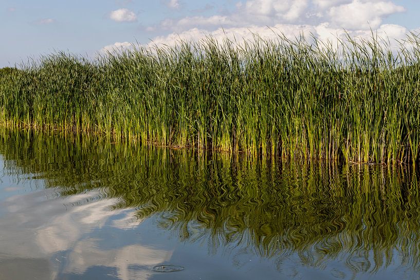 Varend door het Wormer en Jisperveld is het genieten van de mix van water, land en lucht van Hans de Waay