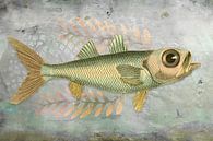 Big Blue-Eyed Fish van Behindthegray thumbnail