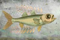 Big Blue-Eyed Fish