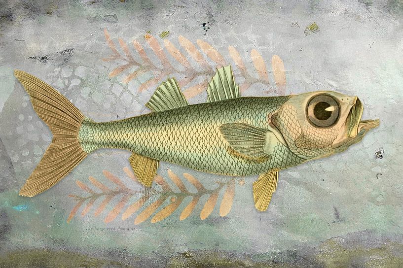 Big Blue-Eyed Fish van Behindthegray