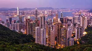 Skyline van Hong Kong van Lex van Lieshout