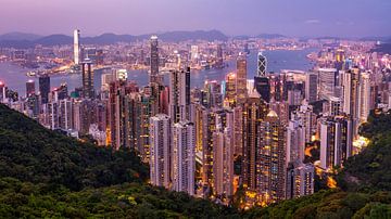 L'horizon de Hong Kong sur Lex van Lieshout