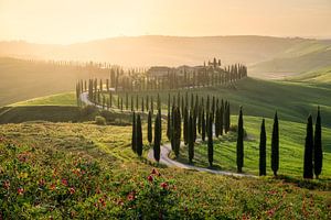 Winding road in Tuscany