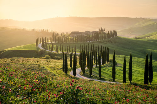 Slingerende weg in Toscane