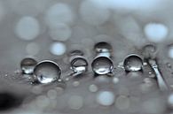 Droplet Mysterie van Carla Mesken-Dijkhoff thumbnail