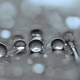 Droplet Mystery by Carla Mesken-Dijkhoff
