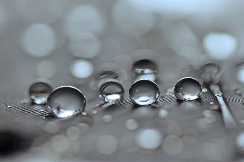 Droplet Mysterie van Carla Mesken-Dijkhoff