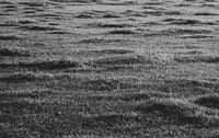 Waves in the Grass