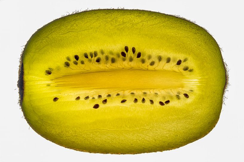 Kiwi High Key par John van de Gazelle fotografie
