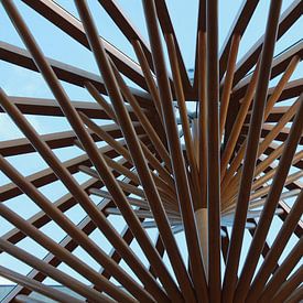 Mark van Ham photo de profil