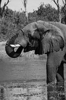 Thirsty