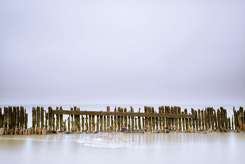 Beautiful details in old wooden breakwater in the Wadden Sea by Jenco van Zalk