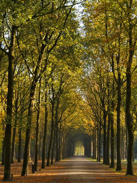 The walk by Odette Kleeblatt