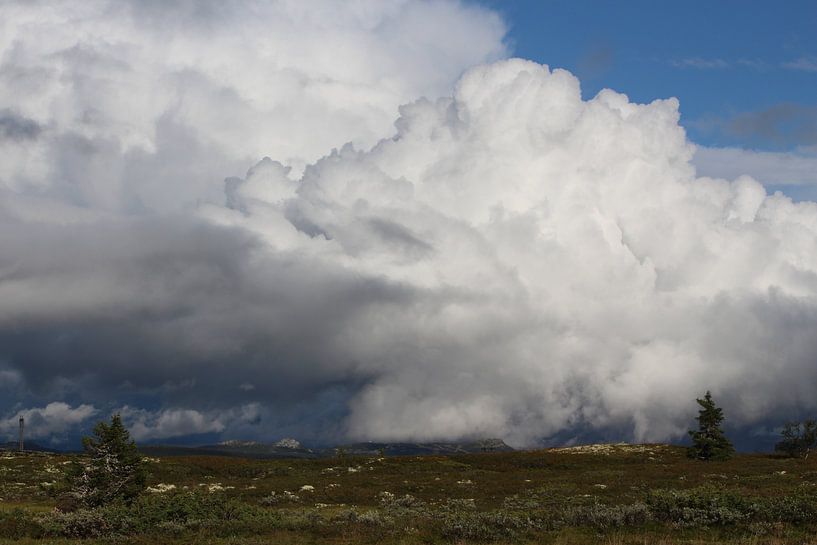 Noorwegen Peer Gynt von By Foto Joukje