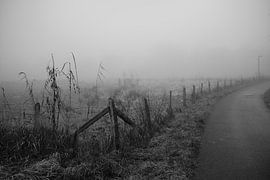Bünde im Nebel II | Naturschutzgebiet