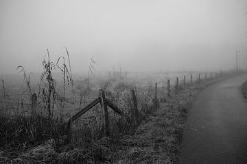Bünde in de mist II | Natuurreservaat van Momentaufnahme | Marius Ahlers