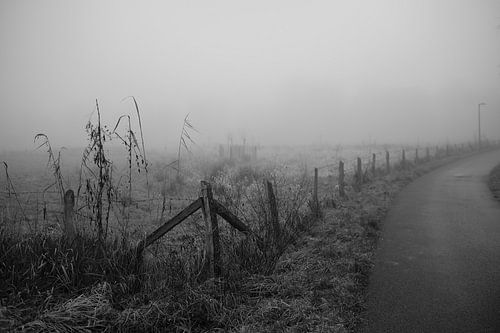 Bünde in de mist II | Natuurreservaat