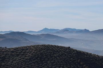 Les montagnes en bleu sur Jan Katuin