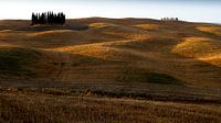 Toscane 2008