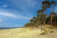 West Strand Fischland Darß Zingst van Patrick Lohmüller thumbnail