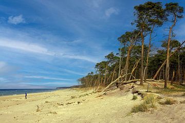 Weststrand Fischland Darß Zingst von Patrick Lohmüller