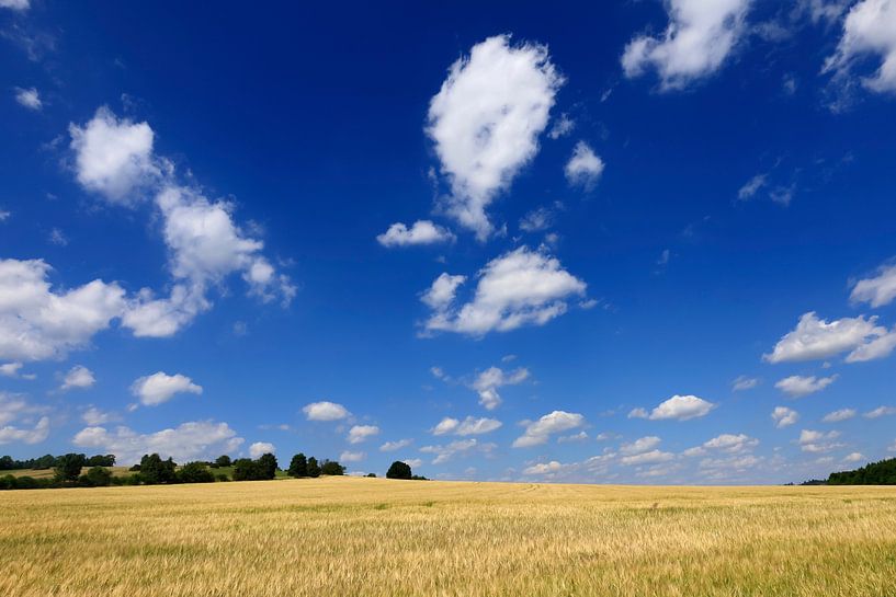 Sommerzeit in der Oberlausitz von Thomas Jäger