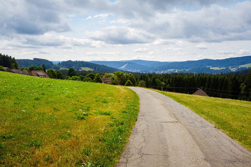 Idyllisch landschap in het Zwarte Woud van Steven Van Aerschot