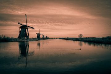 sepia kinderdijk
