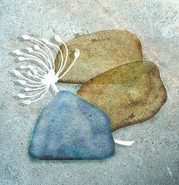 Wildwuchs II von Kay Weber